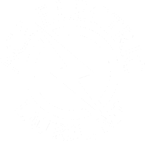 Ace Electric, Inc.
